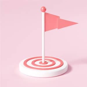 Objetivos de subvención Canarias - Bonos de Conectividad